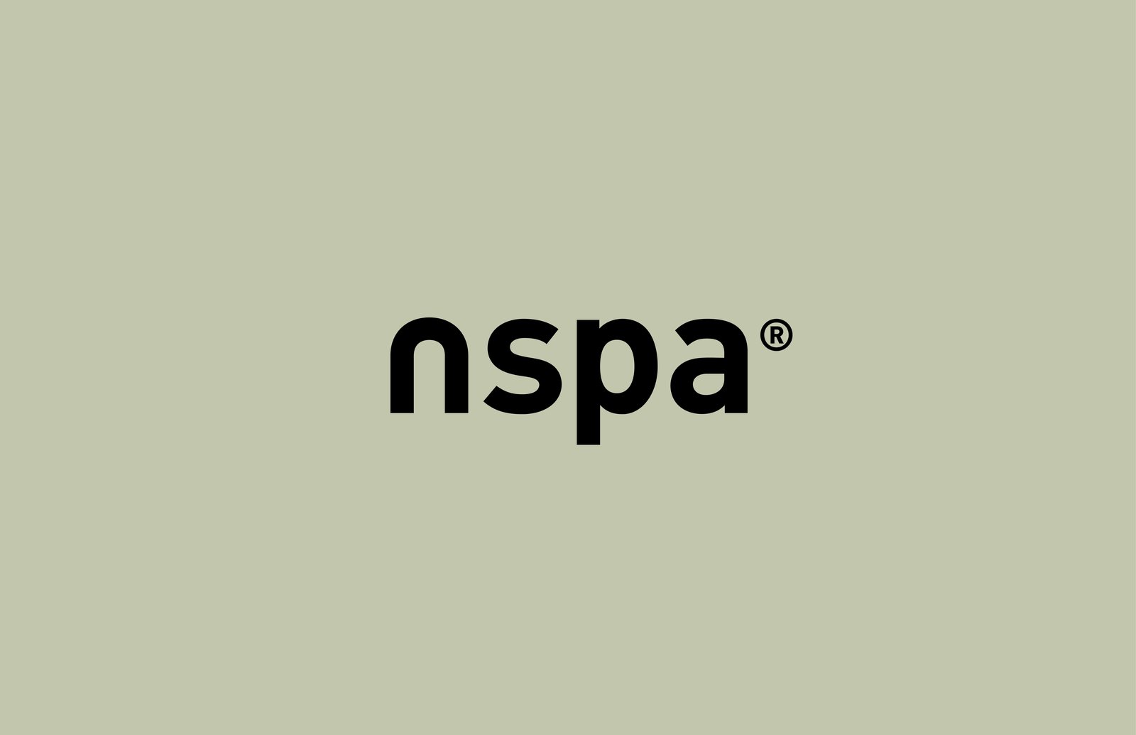 NSPA 项目启动